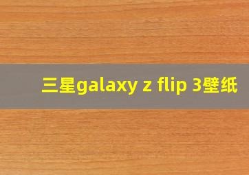 三星galaxy z flip 3壁纸